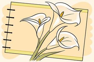 Cream Calla Lily Flower Illustration Elegant Line Art Design High Resolution Image. vector