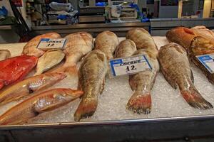 A display of various fresh fish is laid out on a bed of ice at a market, with price tags indicating their cost photo