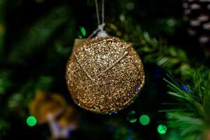 A glittering gold ornament hangs from a festive, green Christmas tree photo