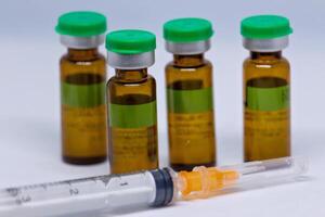 syringe and vials of injectable drugs - brown photo