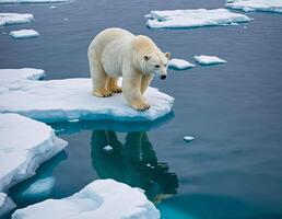 A low-angle photograph of a polar bear walking on floating ice floes in an Arctic environment - generated by ai photo