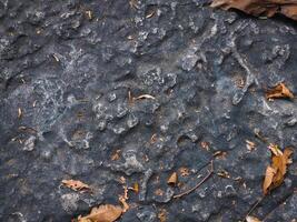 Brown stone texture in the forest for environmental care background. photo