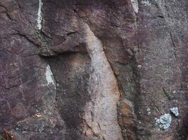 Brown stone texture in the forest for environmental care background. photo
