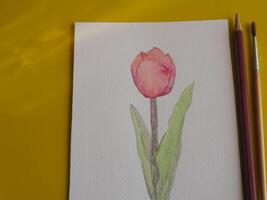 Drawing pastel minimalist pink tulips on paper with yellow background about art education photo
