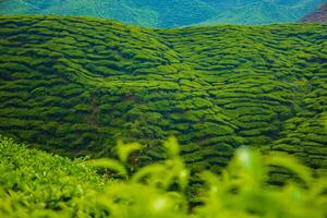 Scenic village in the valley surrounded by mountains and lush fields. photo