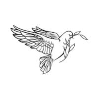 Line drawing of peace symbol, dove with olive branch. vector