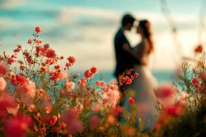 rose flowers with sweet couple on rose field for background. photo