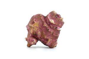 Fresh Raw Jerusalem Artichoke Isolated on White Background photo