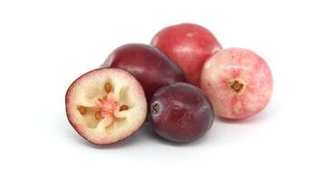 Fresh Cranberries With A Close-Up Of Cross-Sectional View photo
