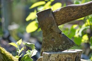Close-up of a rustic axe embedded in a tree stump in a sunny garden photo