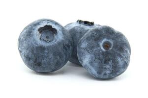 Three Fresh Blueberries Isolated on a White Background photo