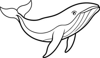 Humpback Whale line art . humpback whale outline illustration design. Whale linear sketch drawing isolated on white background. vector