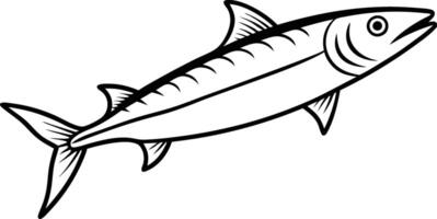 barracuda fish art, and line art illustration design. Outlined Barracuda Fish Catching The Fishing Lure Graphic Design. Hand Drawn line art Isolated On Transparent Background. vector