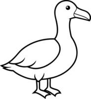 Albatross Bird Outline Illustration - Cartoon, Line Art Design. Albatross line drawing and line art design. Bird gull icon. vector