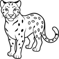 Snow Leopard outline drawing and line art illustration design. vintage retro hipster snow leopard logo outline silhouette art icon. vector