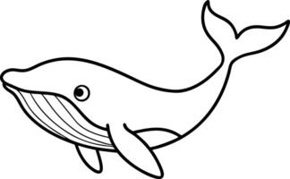 Humpback Whale line art . humpback whale outline illustration design. Whale linear sketch drawing isolated on white background. vector