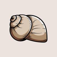 snail shell isolated colored drawing line art style sketch classic vintage design illustration vector