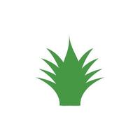 Aloe vera plant icon. Flat style. Leaf icon in flat color style. Design element illustration of a leaf. Illustration of nature and back to nature. care for the environment vector