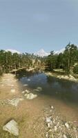 An aerial view of a river running through a forest video