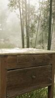 A rustic wooden table surrounded by the serenity of a vibrant green forest video