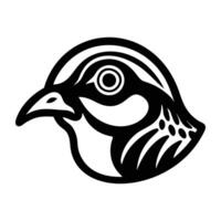 A glyph style icon of common bronzewing vector