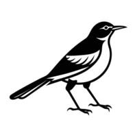 An icon of mockingbird in solid style vector