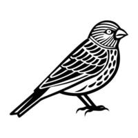 A black and white drawing of a bird vector