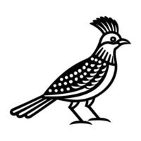 An icon of eastern whipbird in solid style vector
