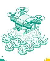 Isometric drone spraying pesticides on plants. Smart farm with irrigation drone. Outline objects. Drone scans plants. Innovation technology for agricultural company. vector