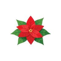 Red poinsettia flower with leaves isolated flat illustration on white background. vector