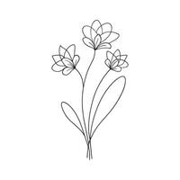 Freesia flower Continuous line art flat illustration. vector