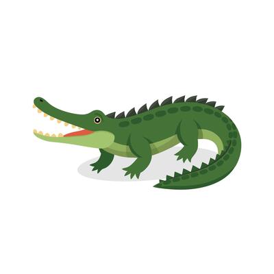 Saltwater Crocodile animal isolated flat illustration on white background