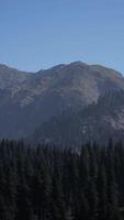 A mountain range with trees in the foreground and a blue sky in the background video
