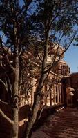 A tree in the middle of a courtyard video