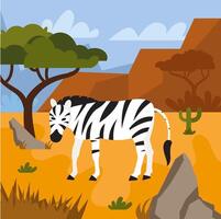 A zebra stands amidst a dry, golden brown savannah with scattered trees under a partly cloudy sky. vector