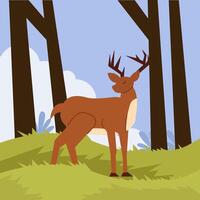 A deer with antlers in a lush forest with tall tree trunks and soft green grass. vector