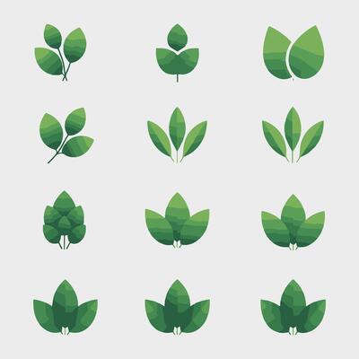 Green leaves icon set, illustration