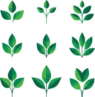 Green leaves icon set
