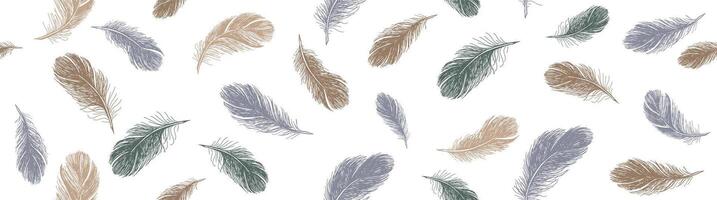 Feathers pattern on white background, Hand drawn sketch style. vector