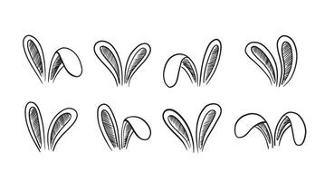 Set of rabbits's ears. Hand drawn illustration. vector