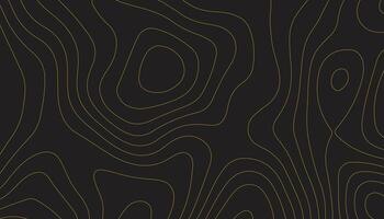 Seamless Topographic Map Background. Texture of Topography Lines vector