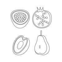 Collection Of Fruit Tracing Line vector