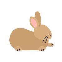 Faceless Illustration Of Rabbit Animal vector