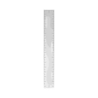 Illustration of ruler vector