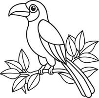 toucan on branch coloring page vector