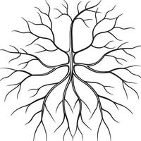 a tree with roots on a white background vector