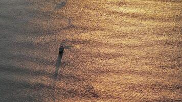Top view of a boat in the ocean at dawn video