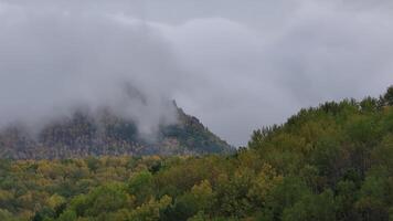 Cloud-Covered Mountain and Trees on a Gloomy Day video