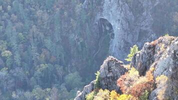 Mountain Side With Trees and Rocks video