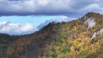 Mountain View With Trees and Clouds video